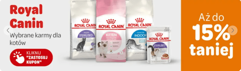 Discovering Zooplus: Your Ultimate Online Pet Shop Experience