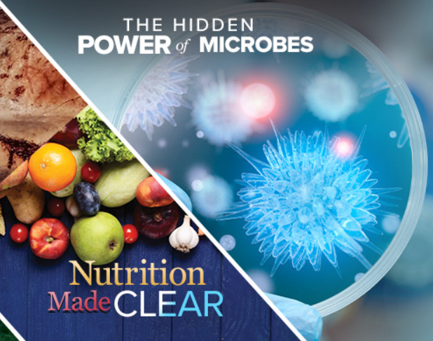 The Ultimate Guide to The Great Courses: Expert-Taught Online Classes Worth Taking